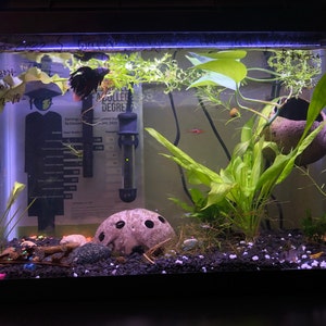 Daizy added a photo of their purchase