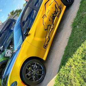 Talakedia added a photo of their purchase