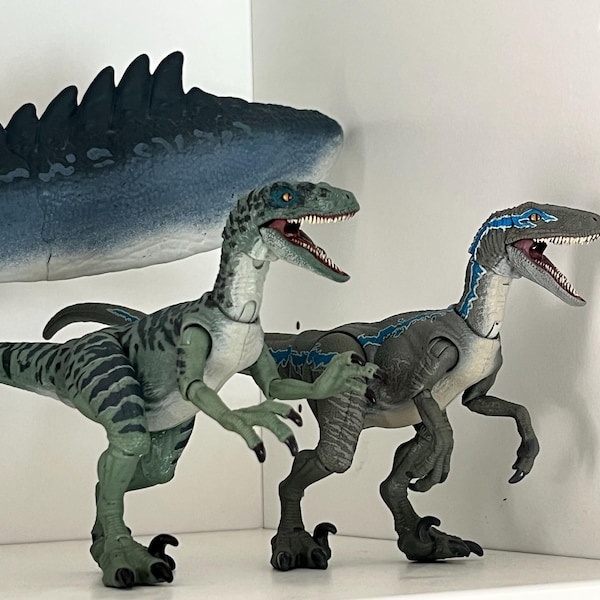 Hc Raptor HC Raptor Squad Charlie/delta Upgrade Kit by Marco Makes - Etsy