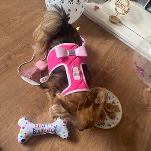 Amber added a photo of their purchase