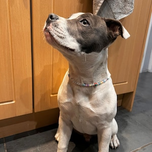 Phebe added a photo of their purchase