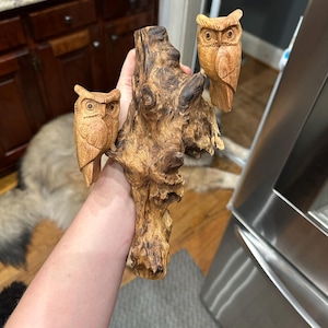 Madeline added a photo of their purchase