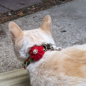 Naerwyn added a photo of their purchase