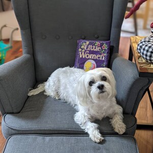 Nessy added a photo of their purchase