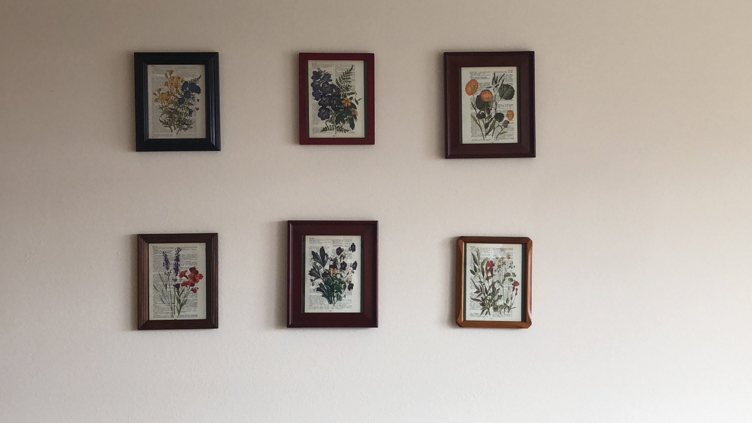 Flower Themed dictionary prints