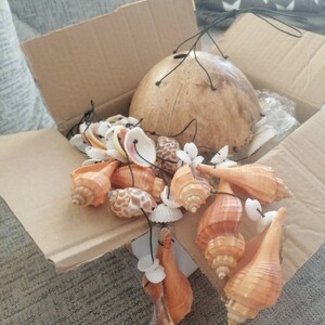 Alexandra さんが購入した商品の写真を追加しました