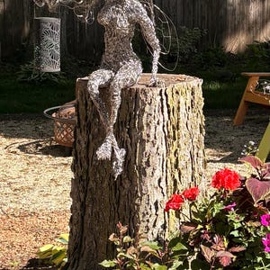 Diane added a photo of their purchase