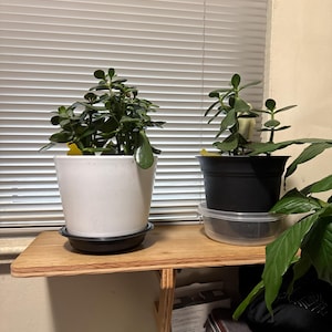 Allen added a photo of their purchase