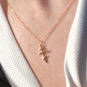 Katharina added a photo of their purchase