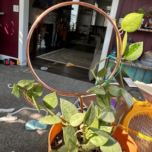Joan added a photo of their purchase