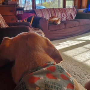 Ashley added a photo of their purchase