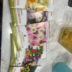 Katherine, added a photo of their purchase