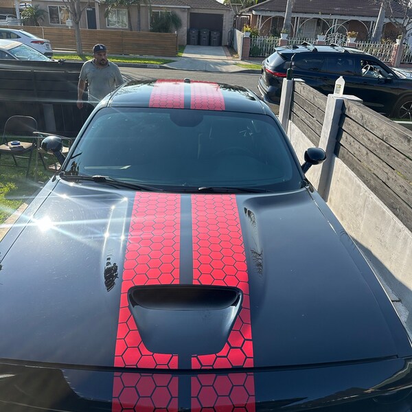 Honeycomb Racing Stripes Dual 10