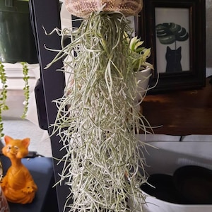 Heather added a photo of their purchase