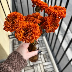 Larissa a ajouté une photo de son achat