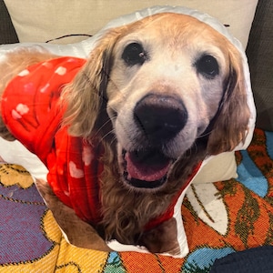 Lex ha añadido una foto de su compra