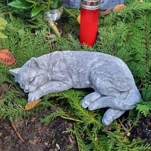 Sandra added a photo of their purchase