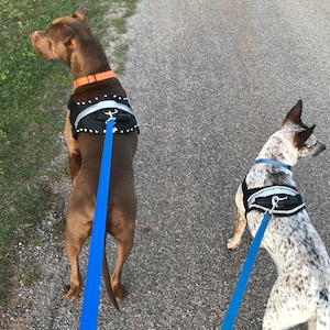 hdp big dog no pull dog harness