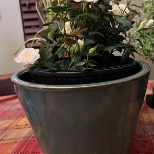 Patricia added a photo of their purchase