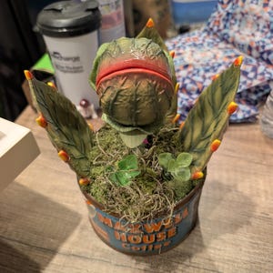 Phoebe added a photo of their purchase