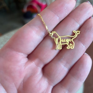 Susan added a photo of their purchase