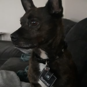 Danesa added a photo of their purchase