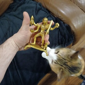 Austin hat ein Foto des gekauften Artikels hinzugefügt