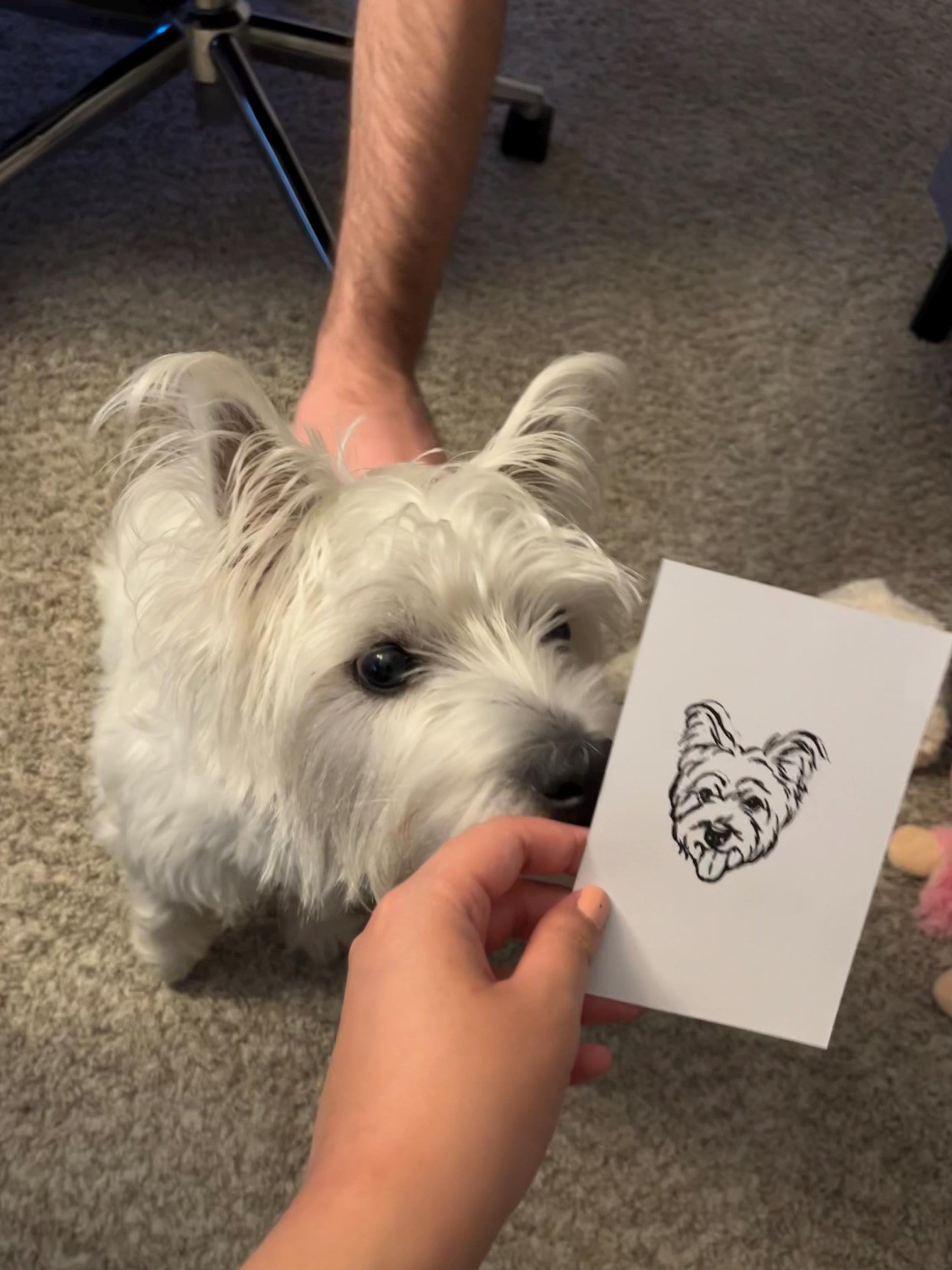 Personalized Custom Pet Rubber Stamp - Hand-Drawn Portraits for Pet Lovers