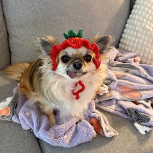 Emma added a photo of their purchase