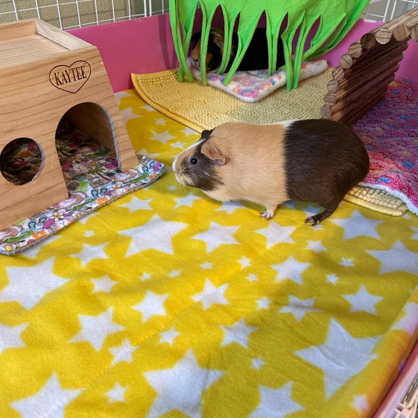 View of Custom Fleece Guinea Pig Cage Liner C&C 1x2 2x2 2x3 2x4 2x5 Liner ...
