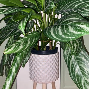 Francesca added a photo of their purchase