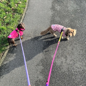 Sophie added a photo of their purchase
