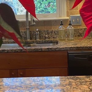 Ann added a photo of their purchase