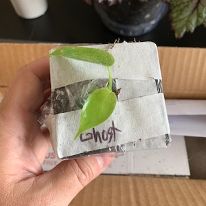 JK added a photo of their purchase