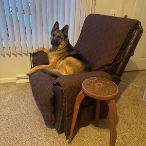 Korine added a photo of their purchase