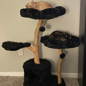 Leigh added a photo of their purchase