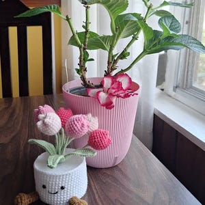Kimi added a photo of their purchase