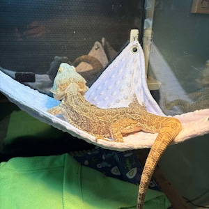 Lyla hat ein Foto des gekauften Artikels hinzugefügt