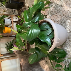 pamela added a photo of their purchase