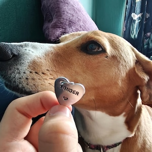 Tyler hat ein Foto des gekauften Artikels hinzugefügt