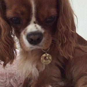 Matilda ha añadido una foto de su compra
