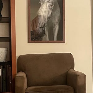 Tickle ha aggiunto una foto del proprio acquisto