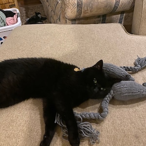Olivia added a photo of their purchase