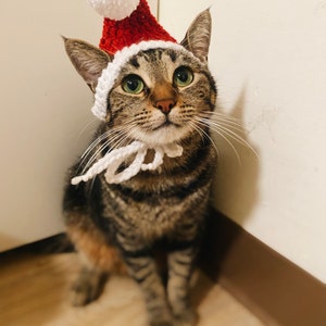 Elf Hat for Cats | Etsy