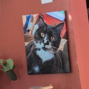 Mollie added a photo of their purchase