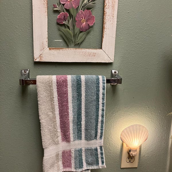 Conch Sea Shell | Garden Quality 6"-8" Conch Shell | Imperfect Conch ...