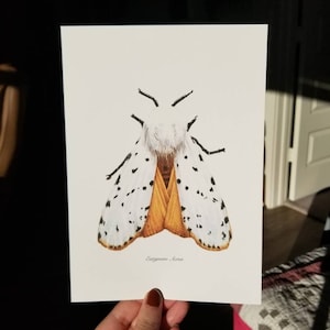 Adrianna added a photo of their purchase