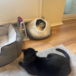 Hollie added a photo of their purchase