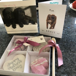 Lucy adicionaram uma foto da sua compra