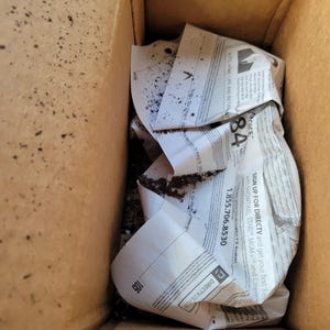 Christiane added a photo of their purchase